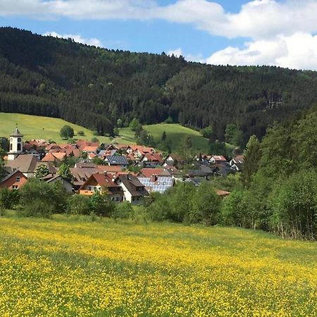 Cozy Apartment In Schwenningen With Garden Villingen-Schwenningen Dış mekan fotoğraf