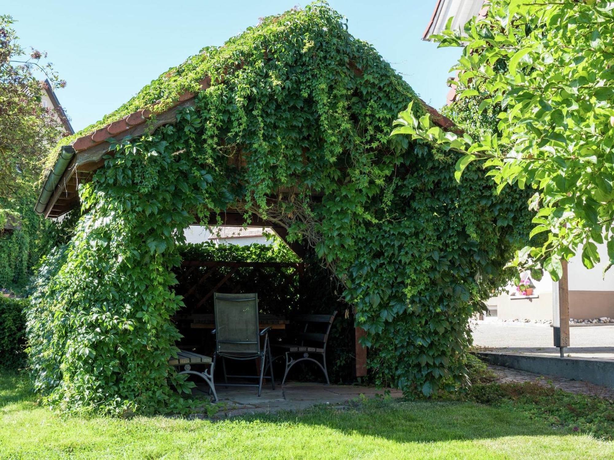 Cozy Apartment In Schwenningen With Garden Villingen-Schwenningen Dış mekan fotoğraf