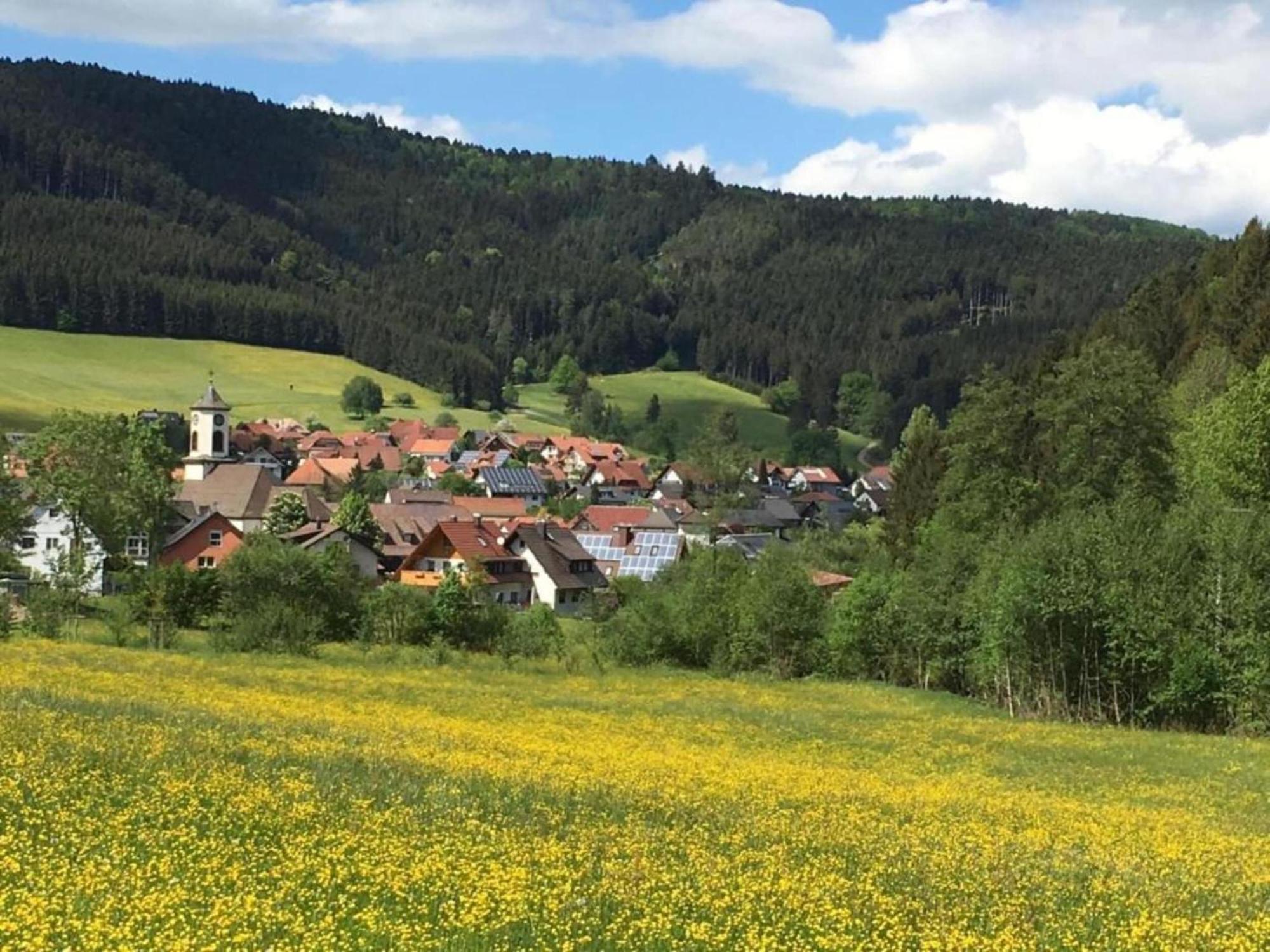 Cozy Apartment In Schwenningen With Garden Villingen-Schwenningen Dış mekan fotoğraf