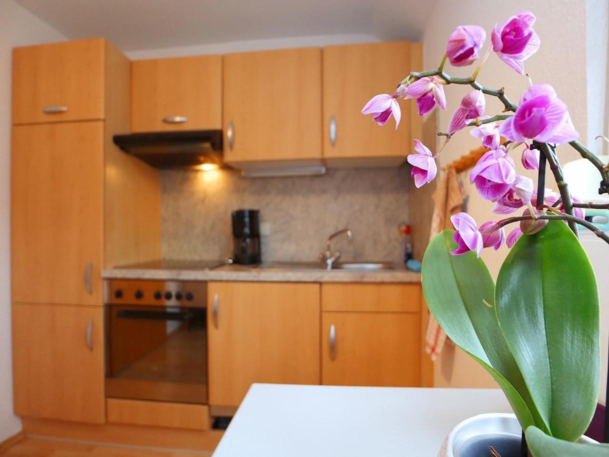 Cozy Apartment In Schwenningen With Garden Villingen-Schwenningen Dış mekan fotoğraf