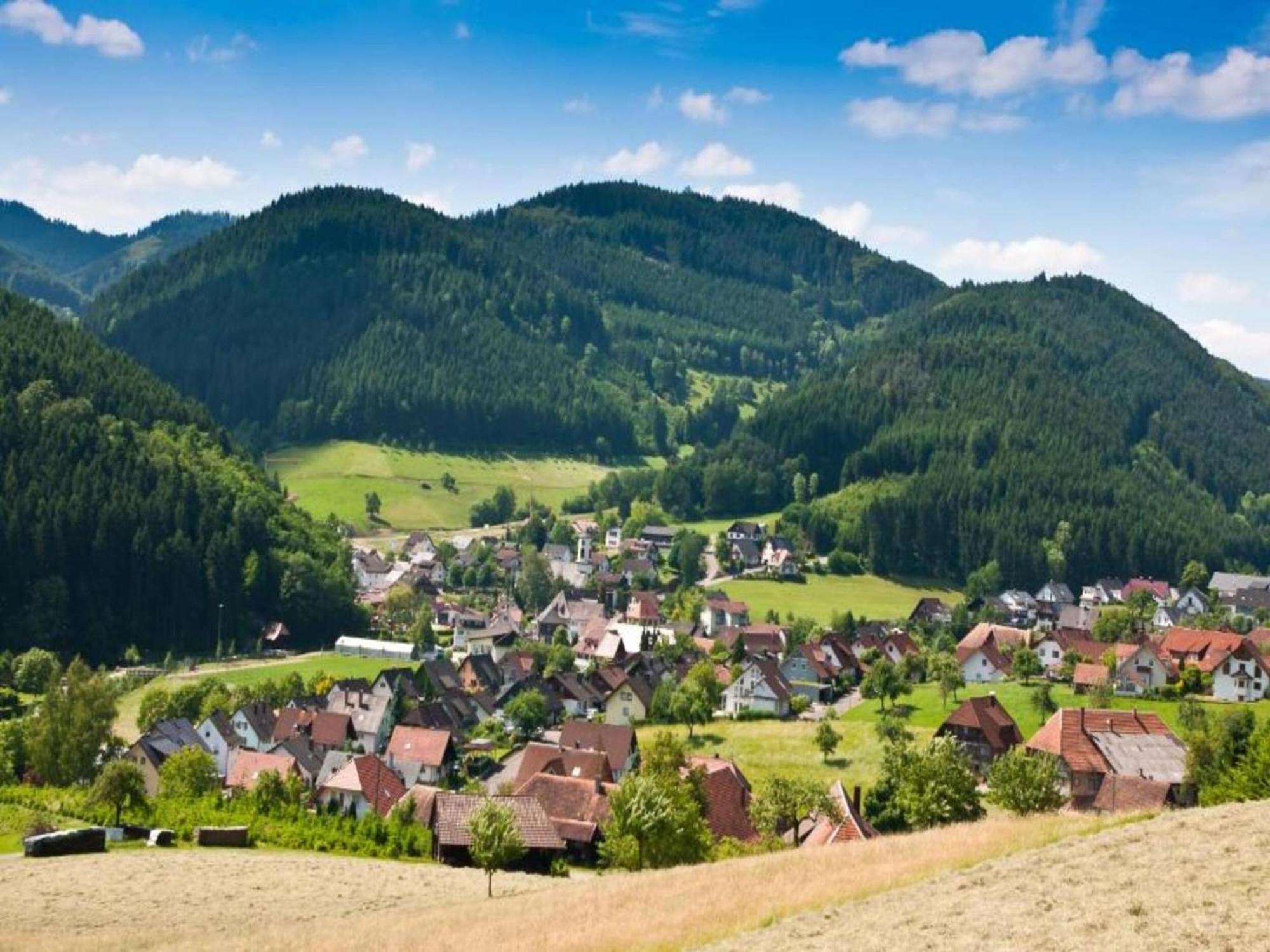 Cozy Apartment In Schwenningen With Garden Villingen-Schwenningen Dış mekan fotoğraf