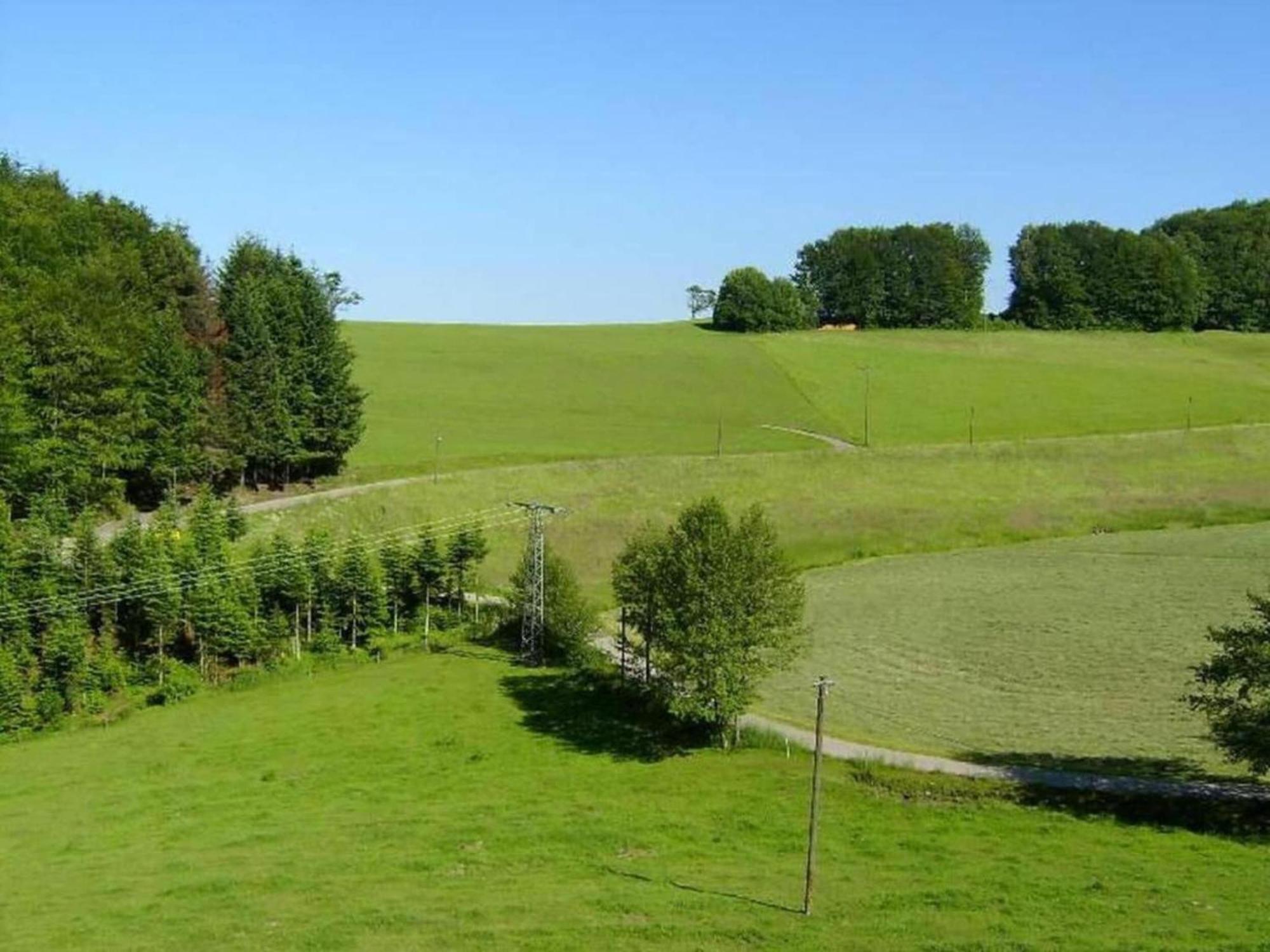 Cozy Apartment In Schwenningen With Garden Villingen-Schwenningen Dış mekan fotoğraf