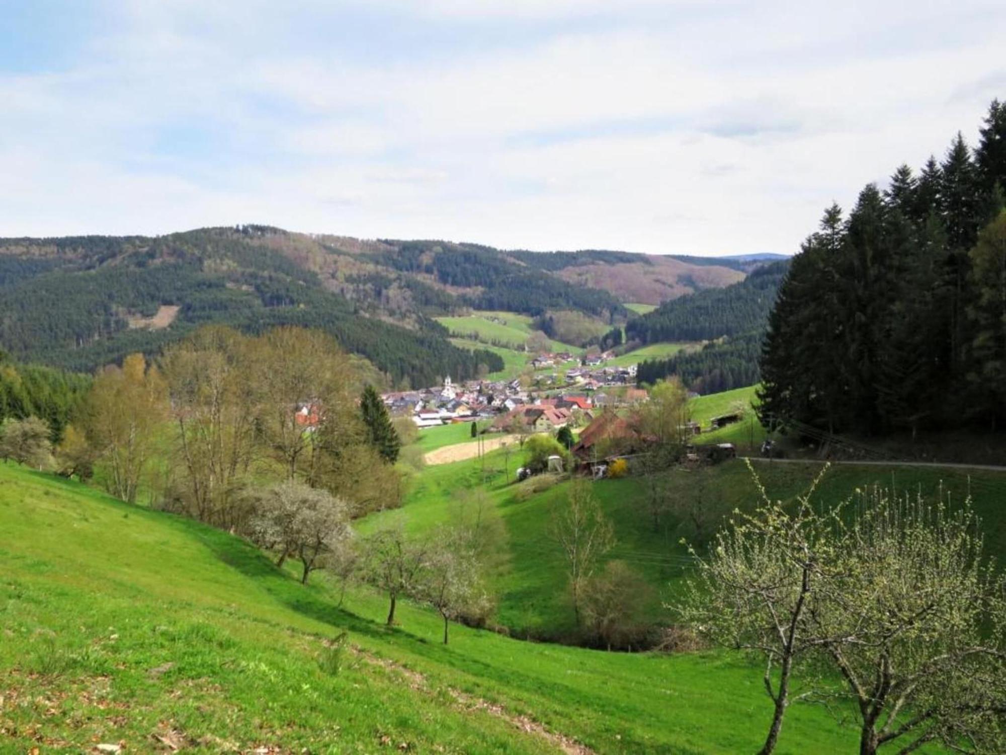 Cozy Apartment In Schwenningen With Garden Villingen-Schwenningen Dış mekan fotoğraf
