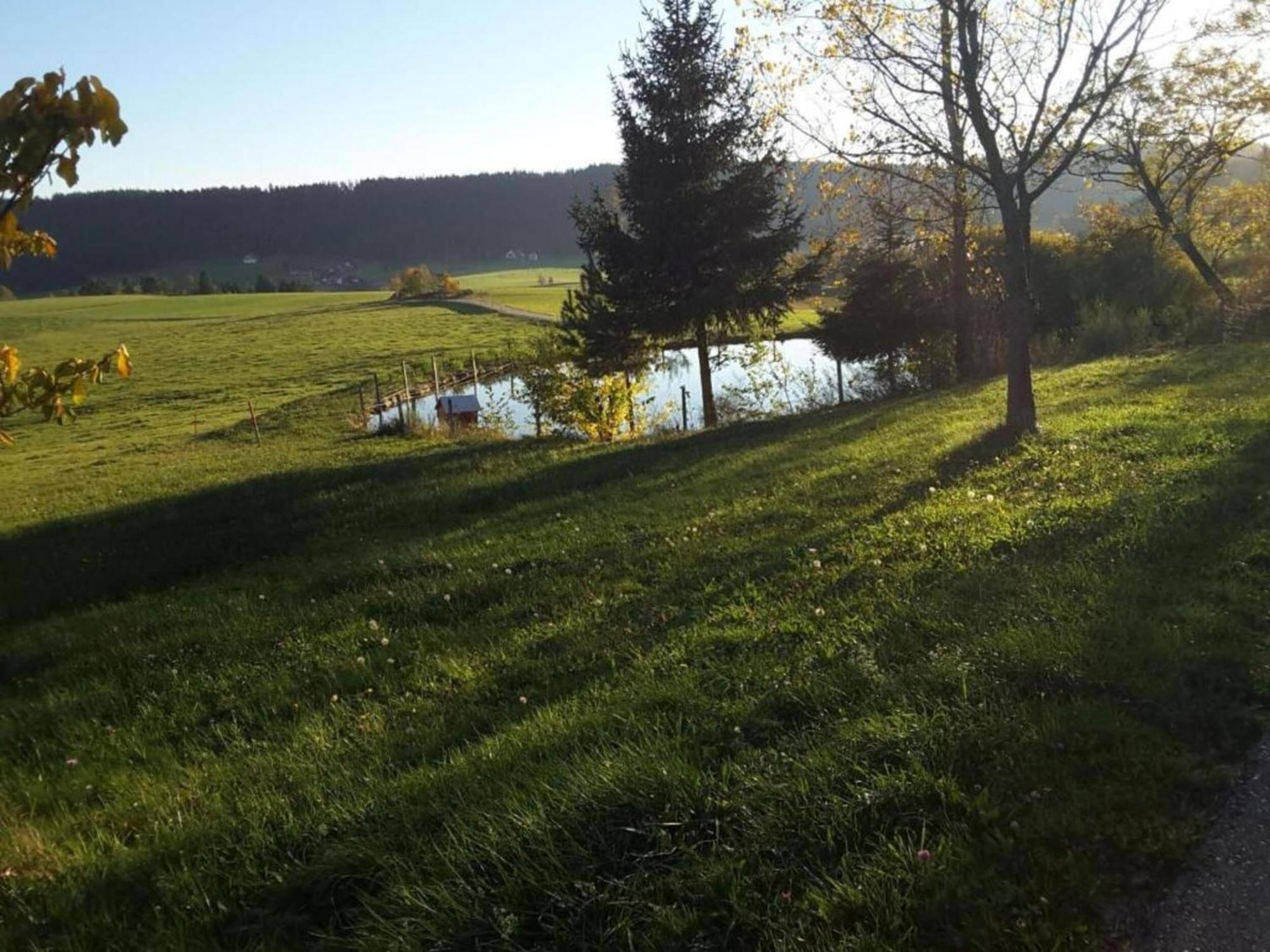 Cozy Apartment In Schwenningen With Garden Villingen-Schwenningen Dış mekan fotoğraf