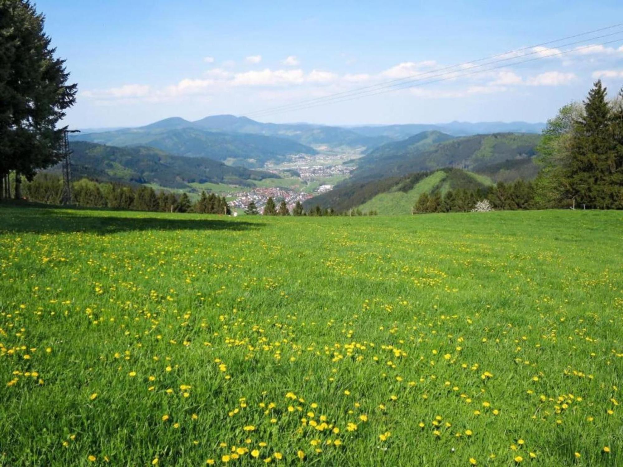 Cozy Apartment In Schwenningen With Garden Villingen-Schwenningen Dış mekan fotoğraf